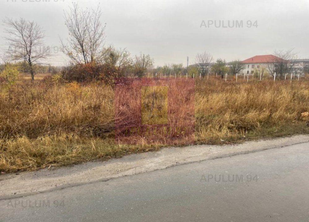 Teren Soseaua Alexandriei- Pasarela Bragadiru. - 3