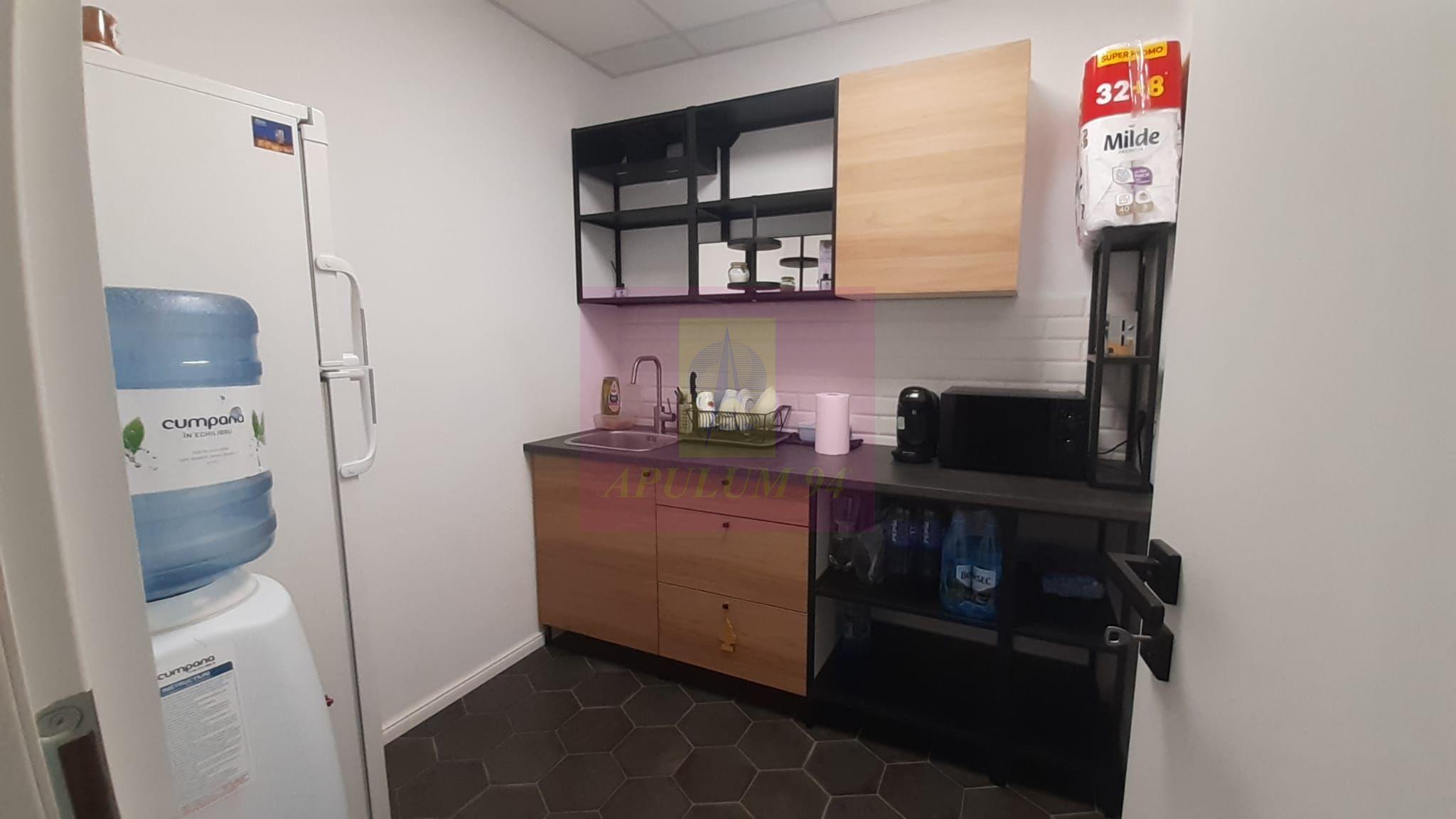 Showroom în Sudul Bucureștiului - 46