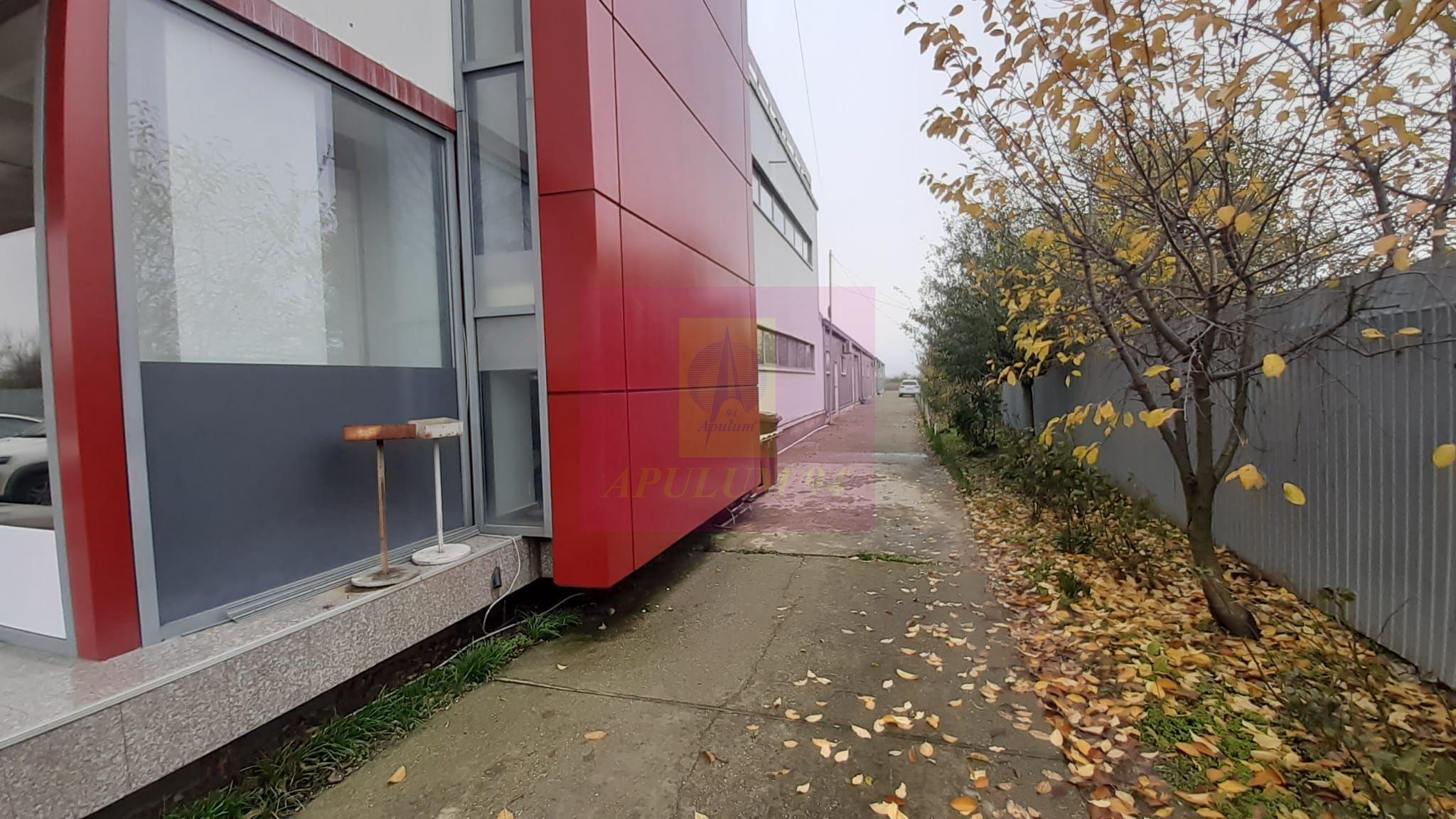 Showroom în Sudul Bucureștiului - 18