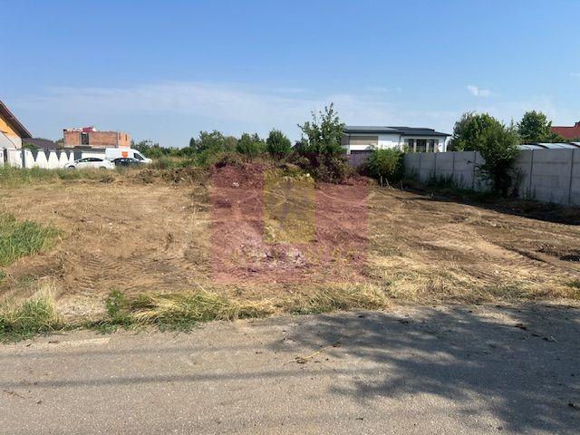 Teren Clinceni- Putul Olteni- Crizantemelor. - 1