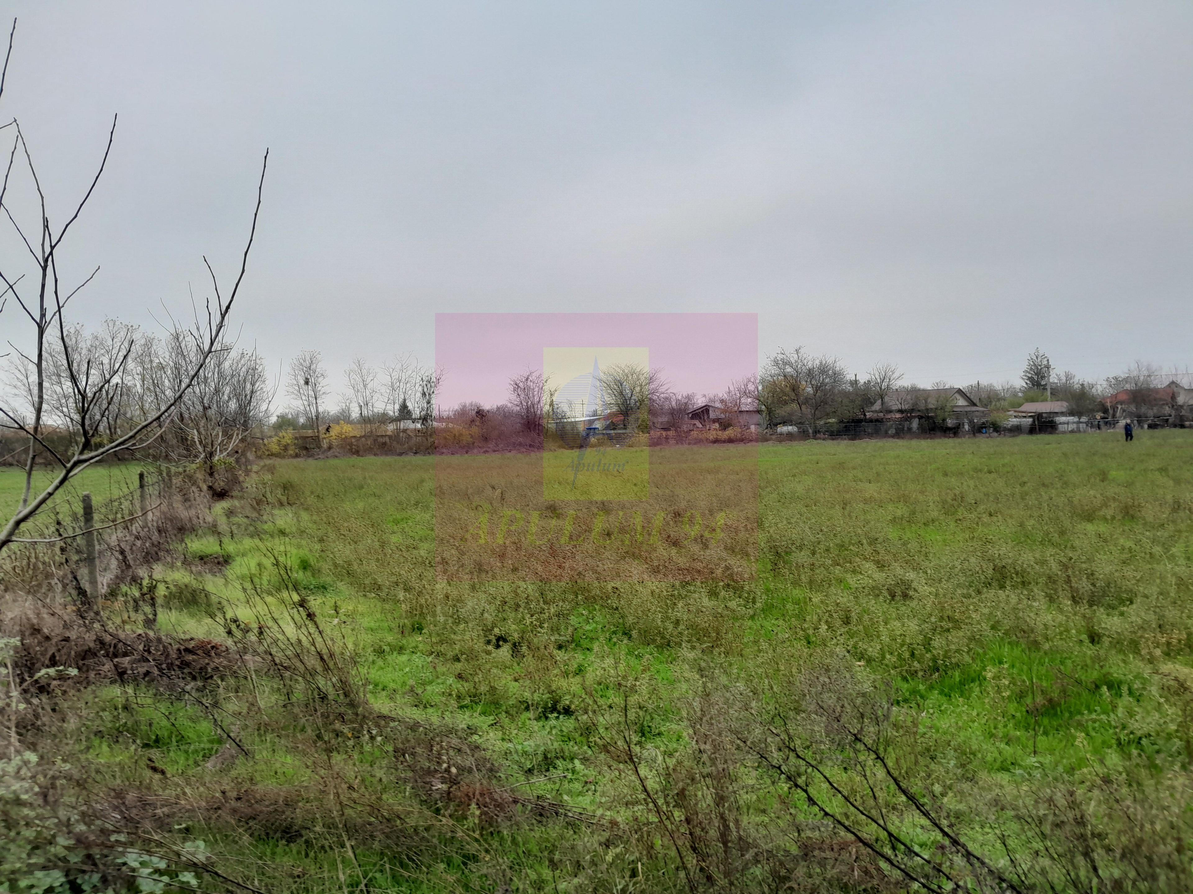 BARCANESTI (IL) - SE VINDE CASA + TEREN 16K MP - 23