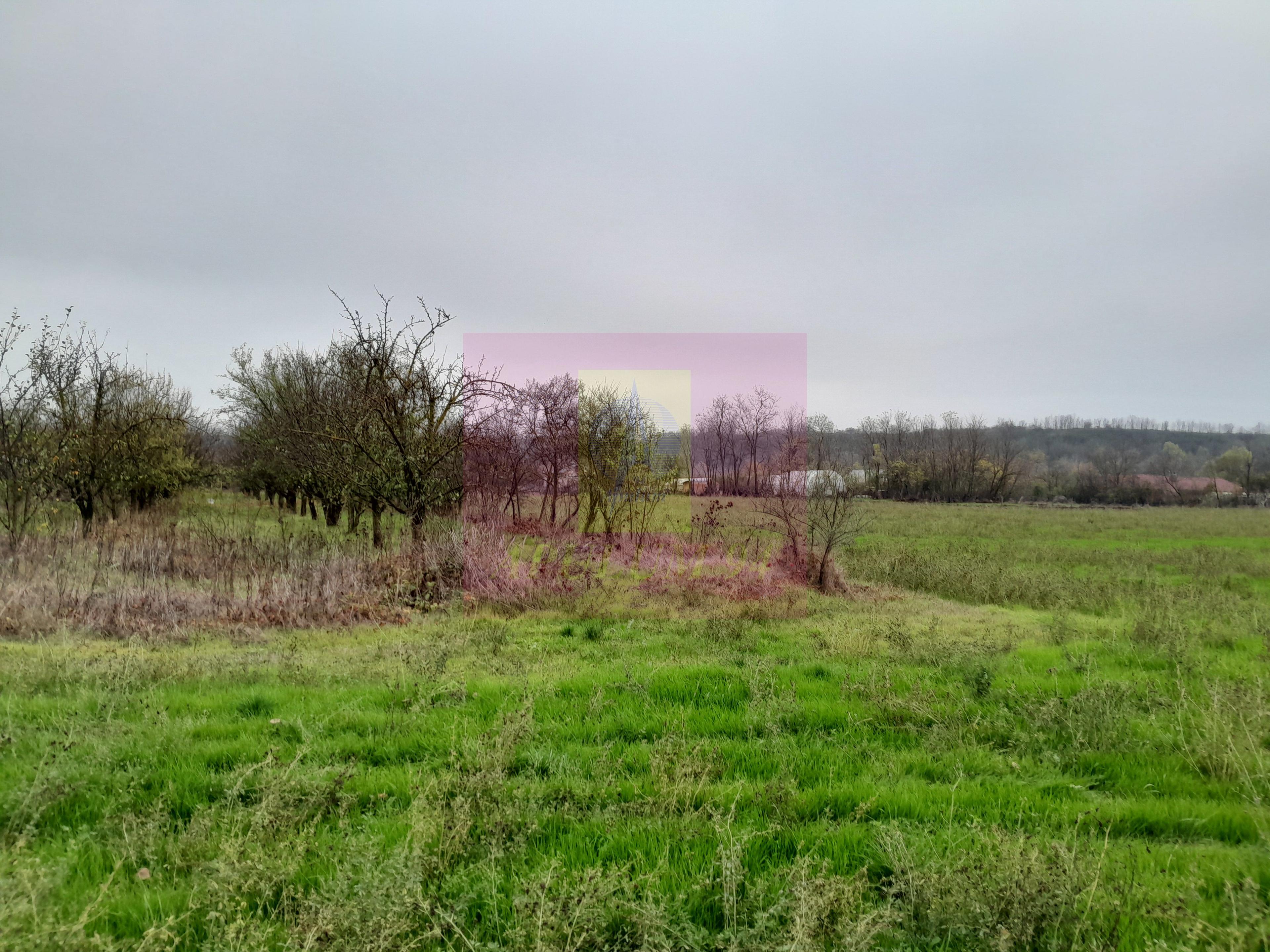 BARCANESTI (IL) - SE VINDE CASA + TEREN 16K MP - 12