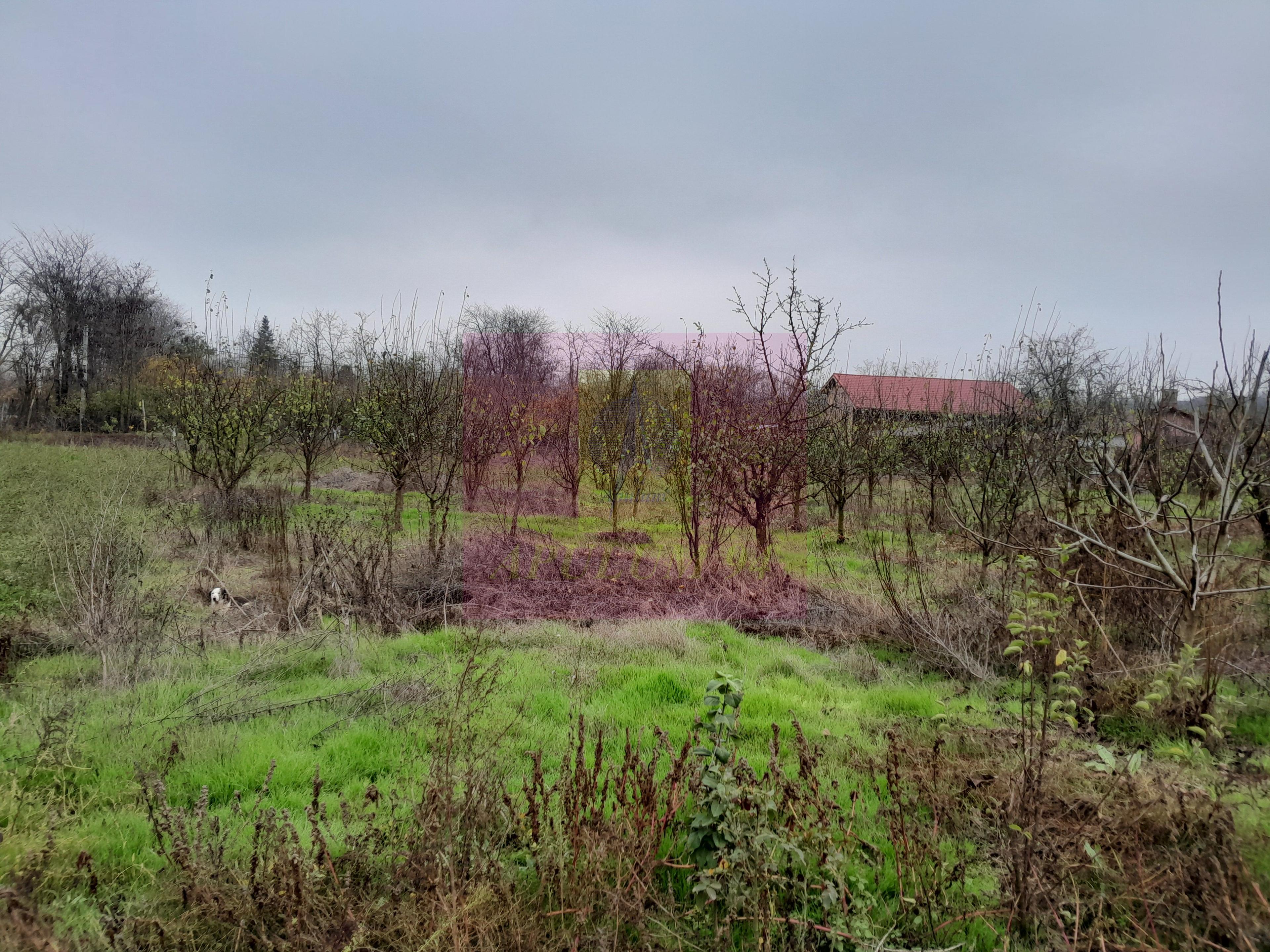 BARCANESTI (IL) - SE VINDE CASA + TEREN 16K MP - 61