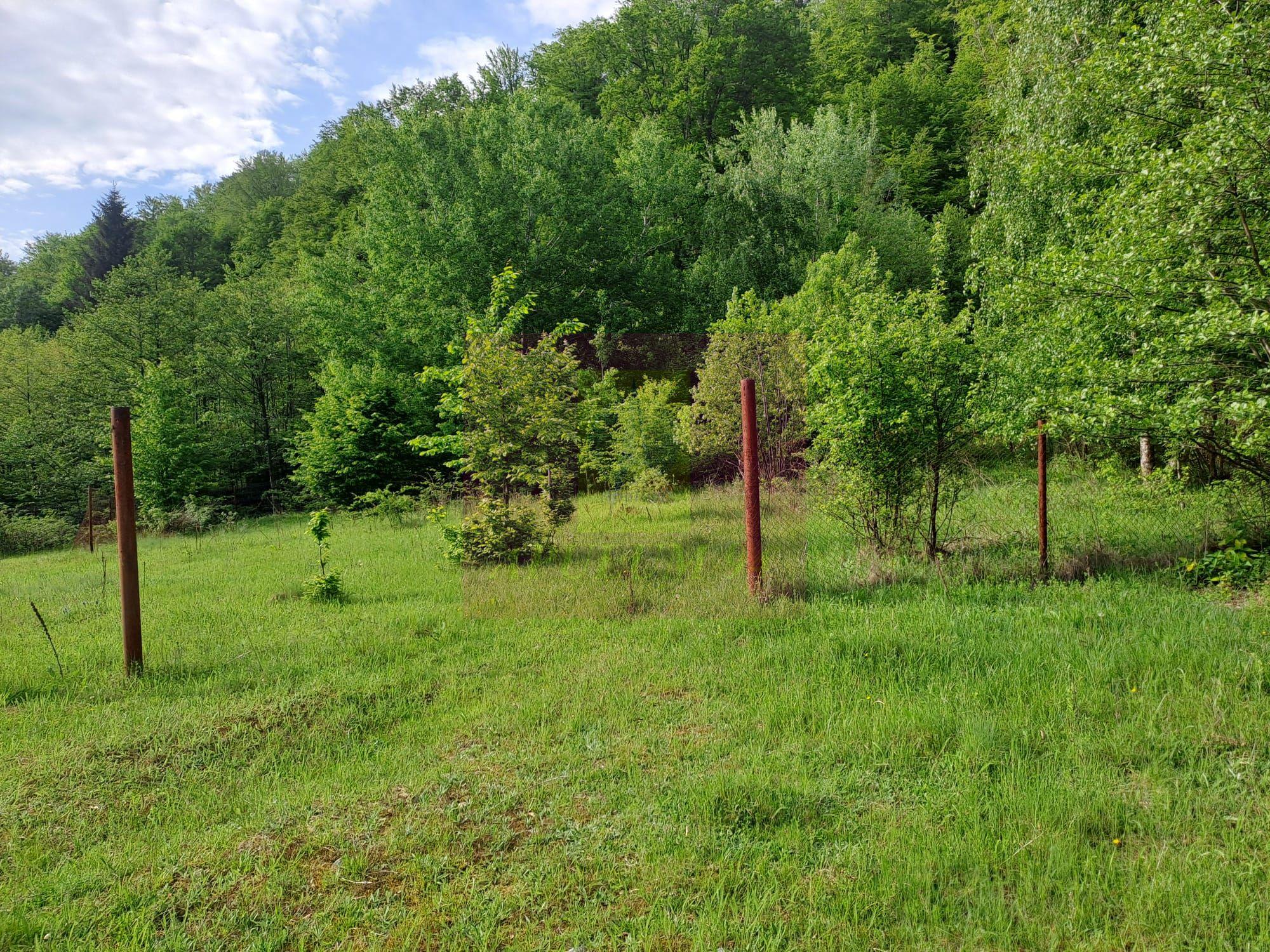 BEREVOIESTI (AG) SE VINDE TEREN 834 MP IN zona Pastravaria Rausor - 4