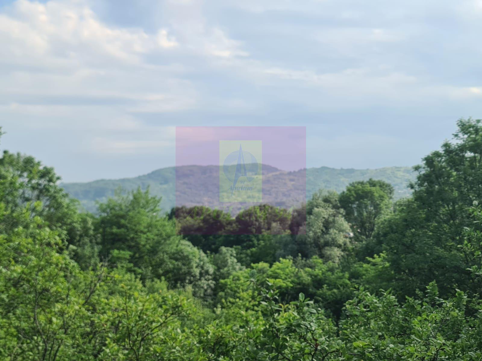 Vila de vanzare cu 6 camere in Cornu (teren 6.600 mp) - 3