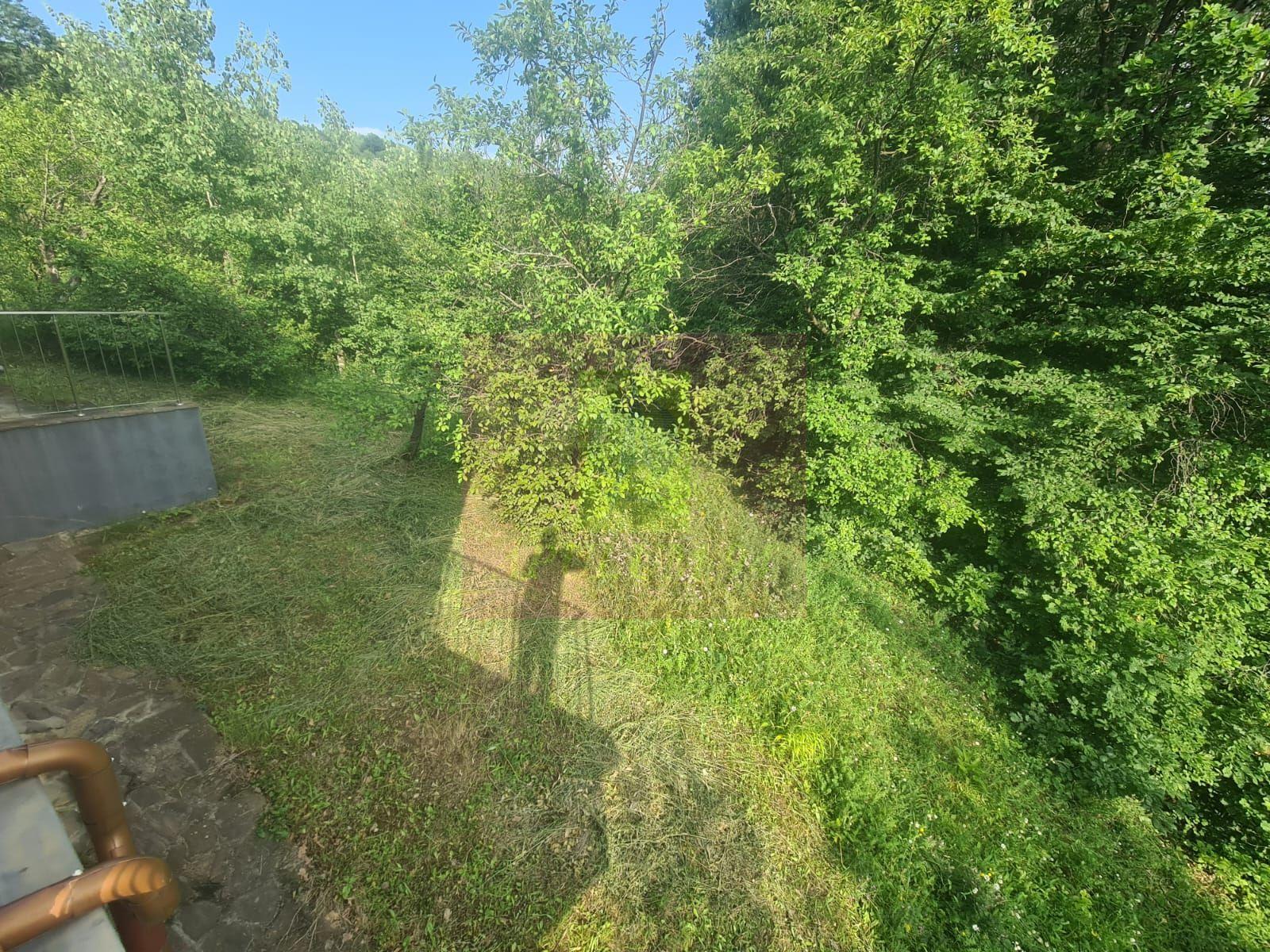 Vila de vanzare cu 6 camere in Cornu (teren 6.600 mp) - 50