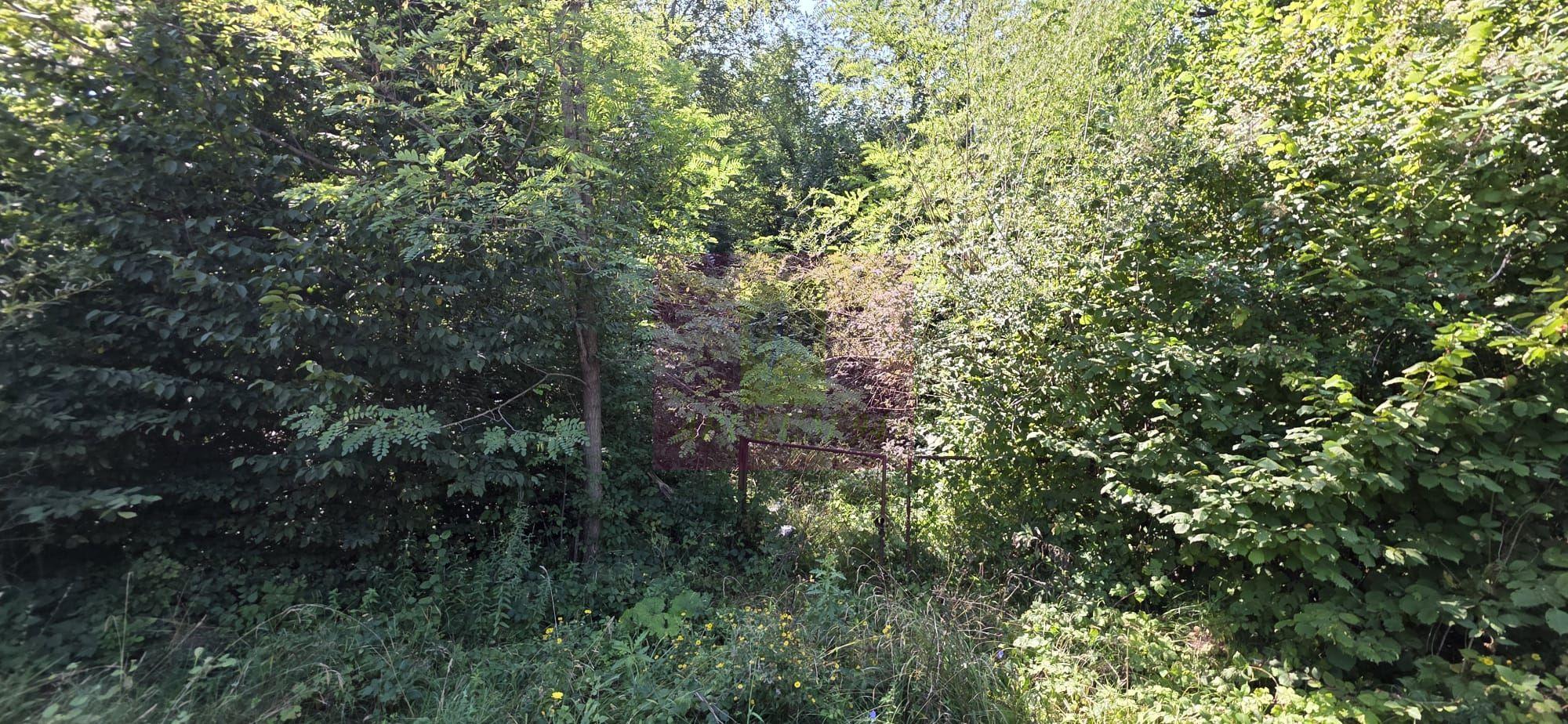Teren intravilan de vanzare in Lunca Mare (la 10 km de Valea Doftanei) - 1