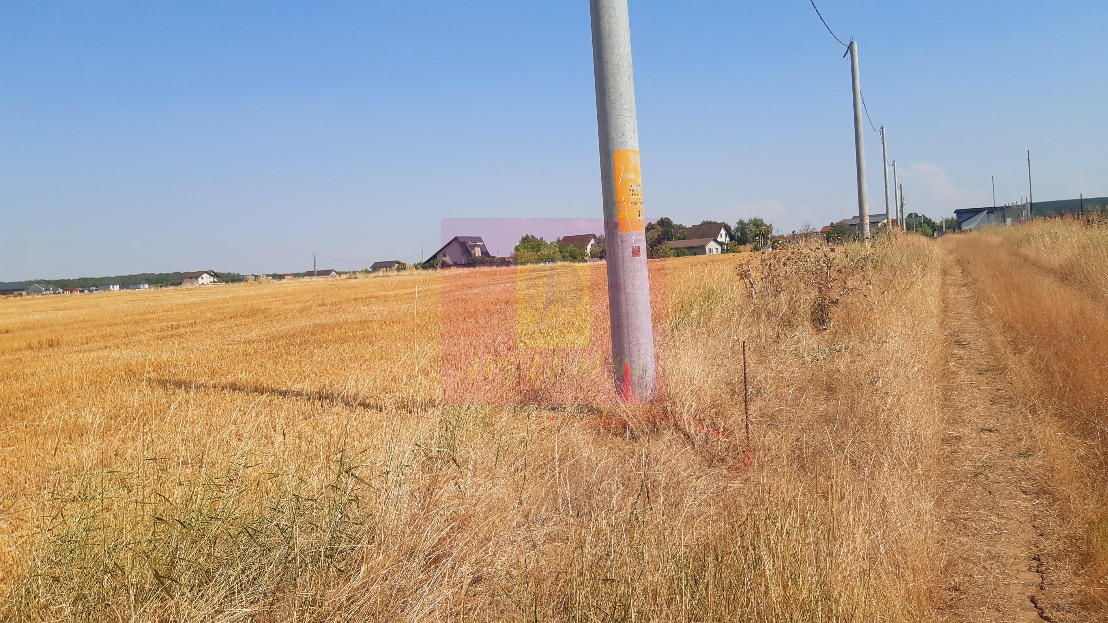 Teren pentru casă/case în Brănești pe strada Toporași - 8