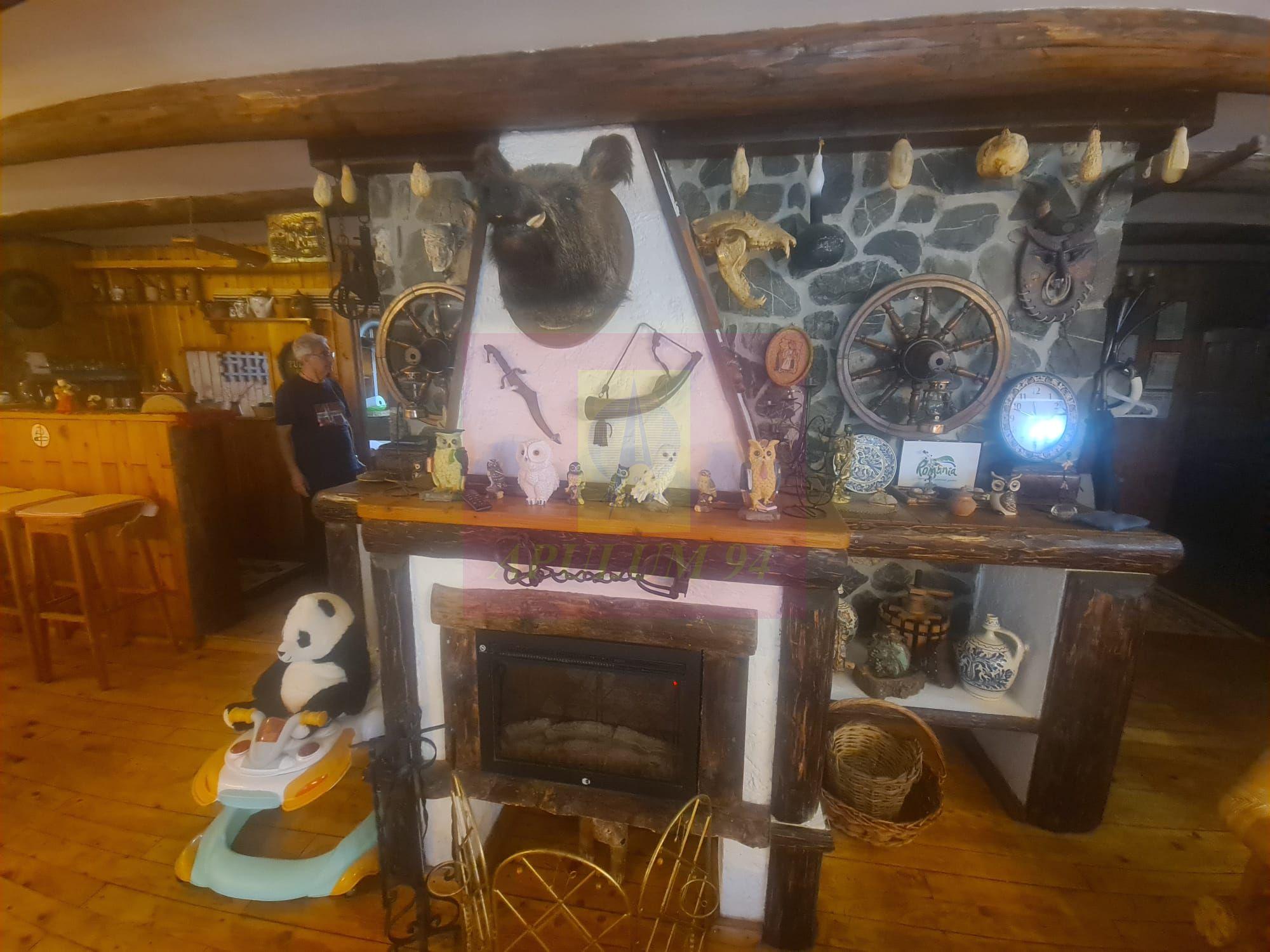 Vila de vacanta de vanzare in Busteni - Zona Zamora - 14