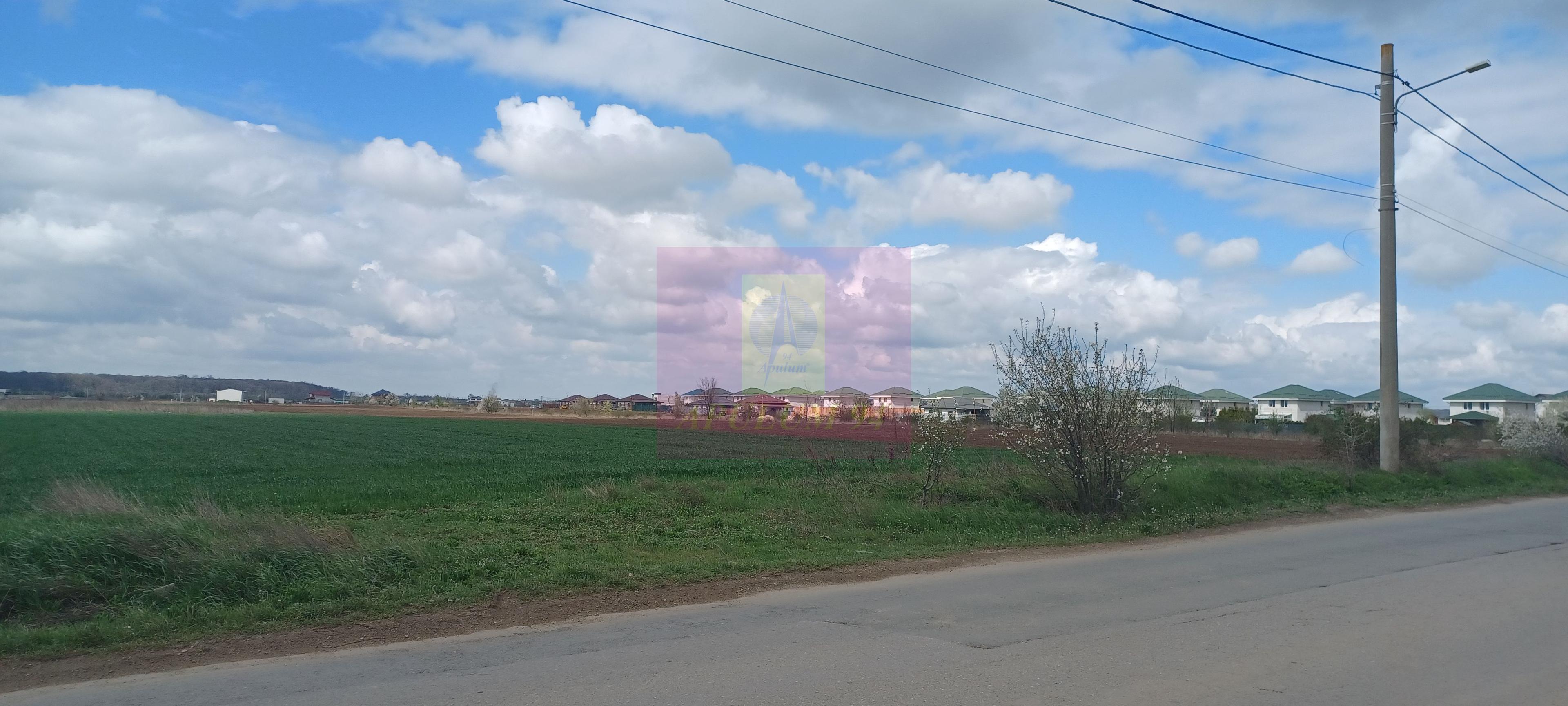 Săbăreni, teren intravilan 1000 mp, cu utilitati în apropiere - 3