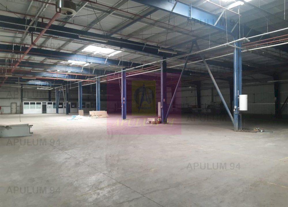 Spatiu Logistic langa Bucuresti Hala 5000 mp - 61