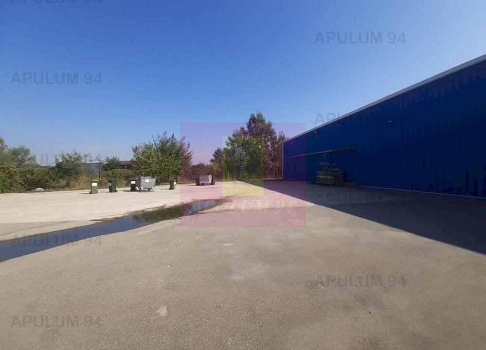 Spatiu Logistic langa Bucuresti Hala 5000 mp - 28