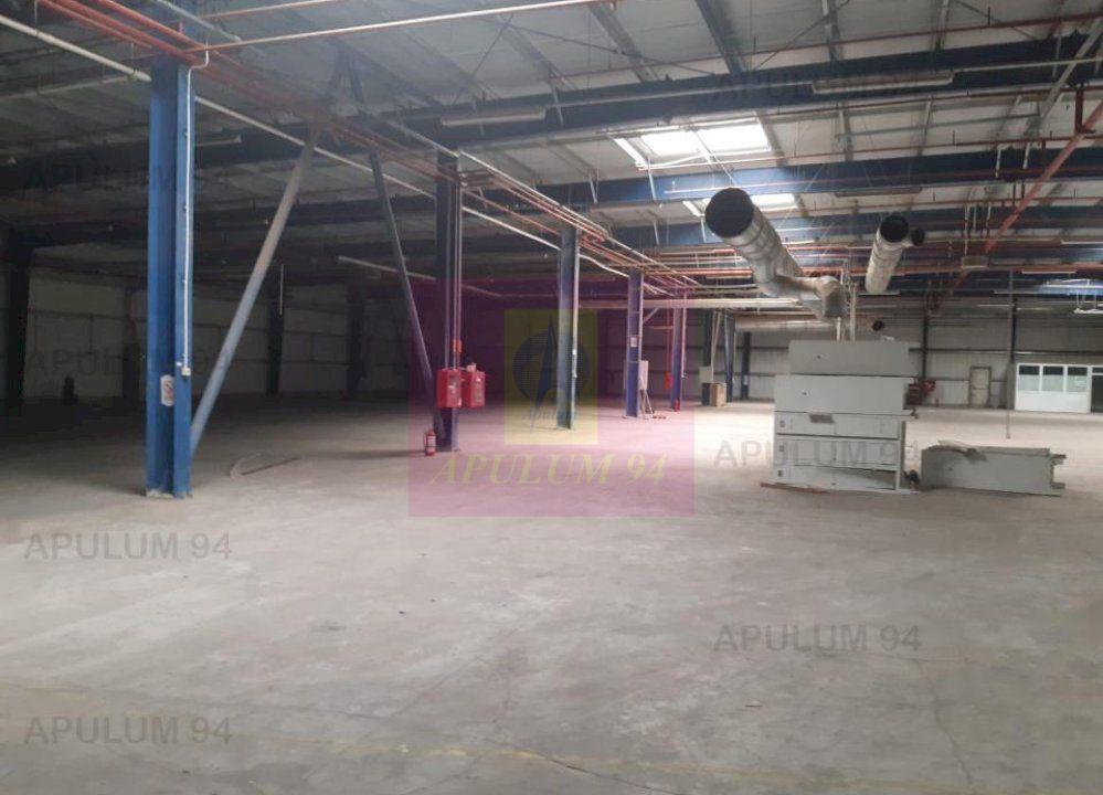 Spatiu Logistic langa Bucuresti Hala 5000 mp - 24
