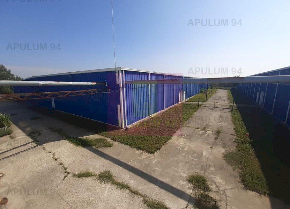 Spatiu Logistic langa Bucuresti Hala 5000 mp - 45