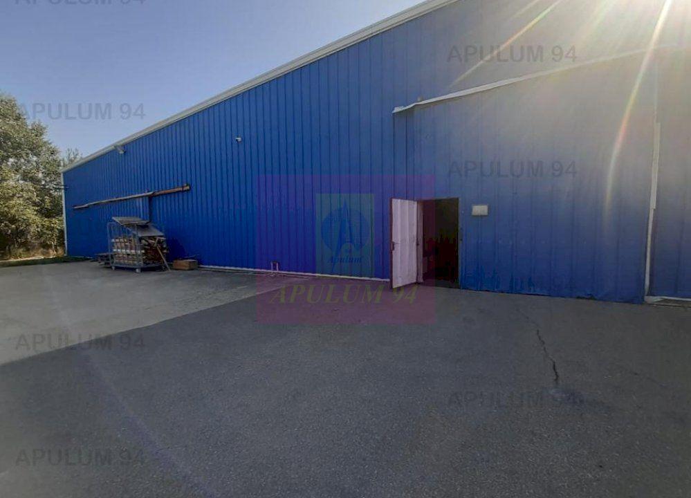 Spatiu Logistic langa Bucuresti Hala 5000 mp - 7