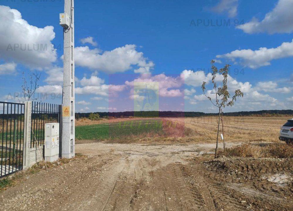 Gulia, teren intravilan curti-constructii, 516 mp, utilități aproape - 4