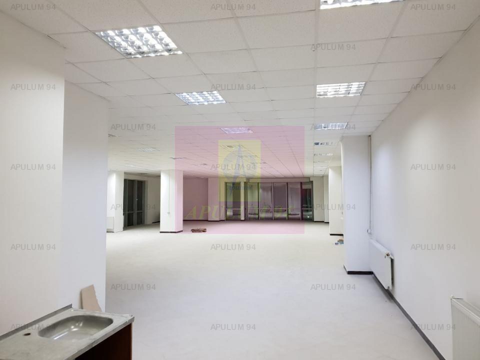 Locul Potrivit pentru afacerea ta - Otopeni- Calea București - 8