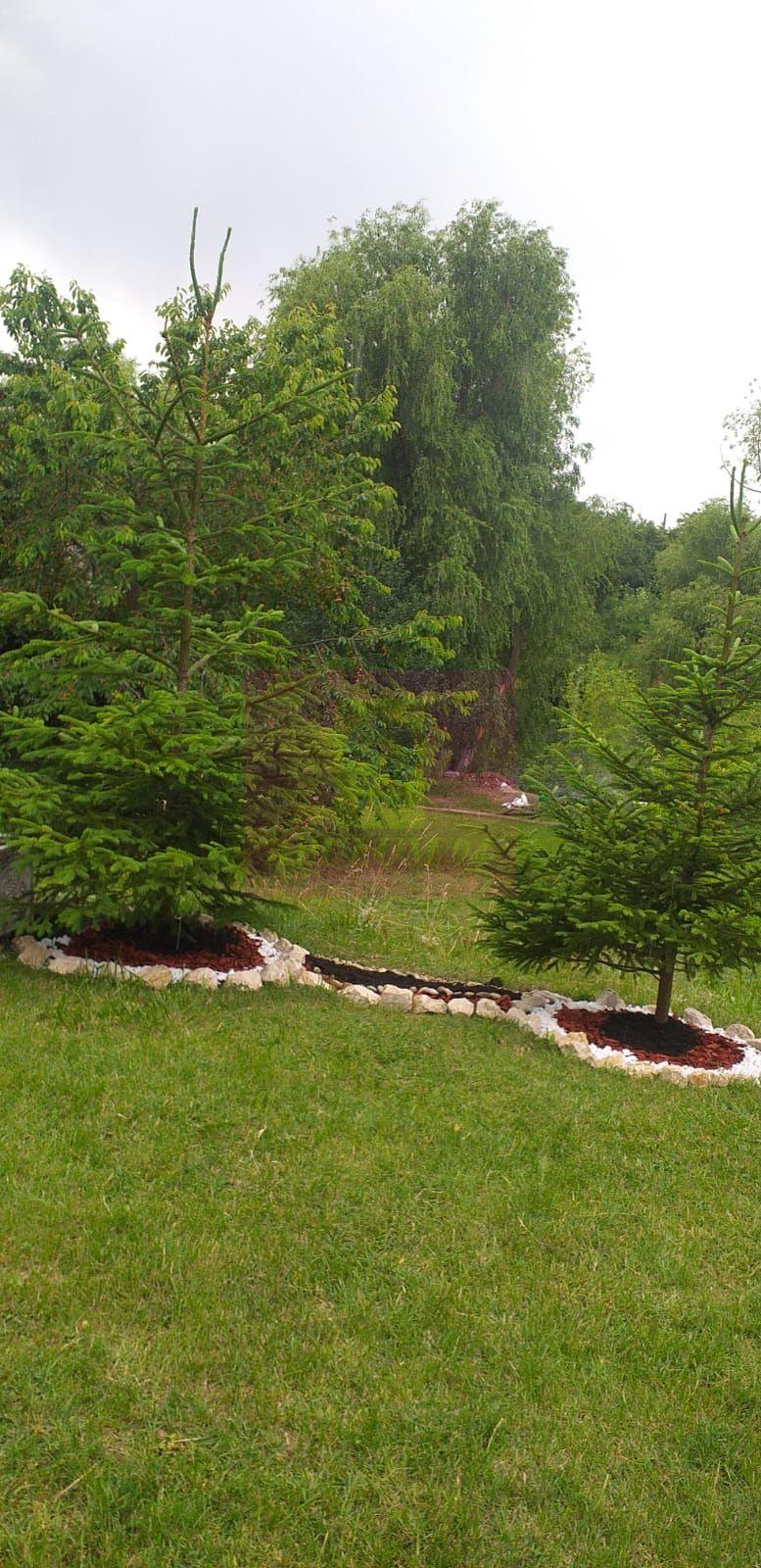 Cea mai frumoasă casă din zona Pipera - Băneasa - 54