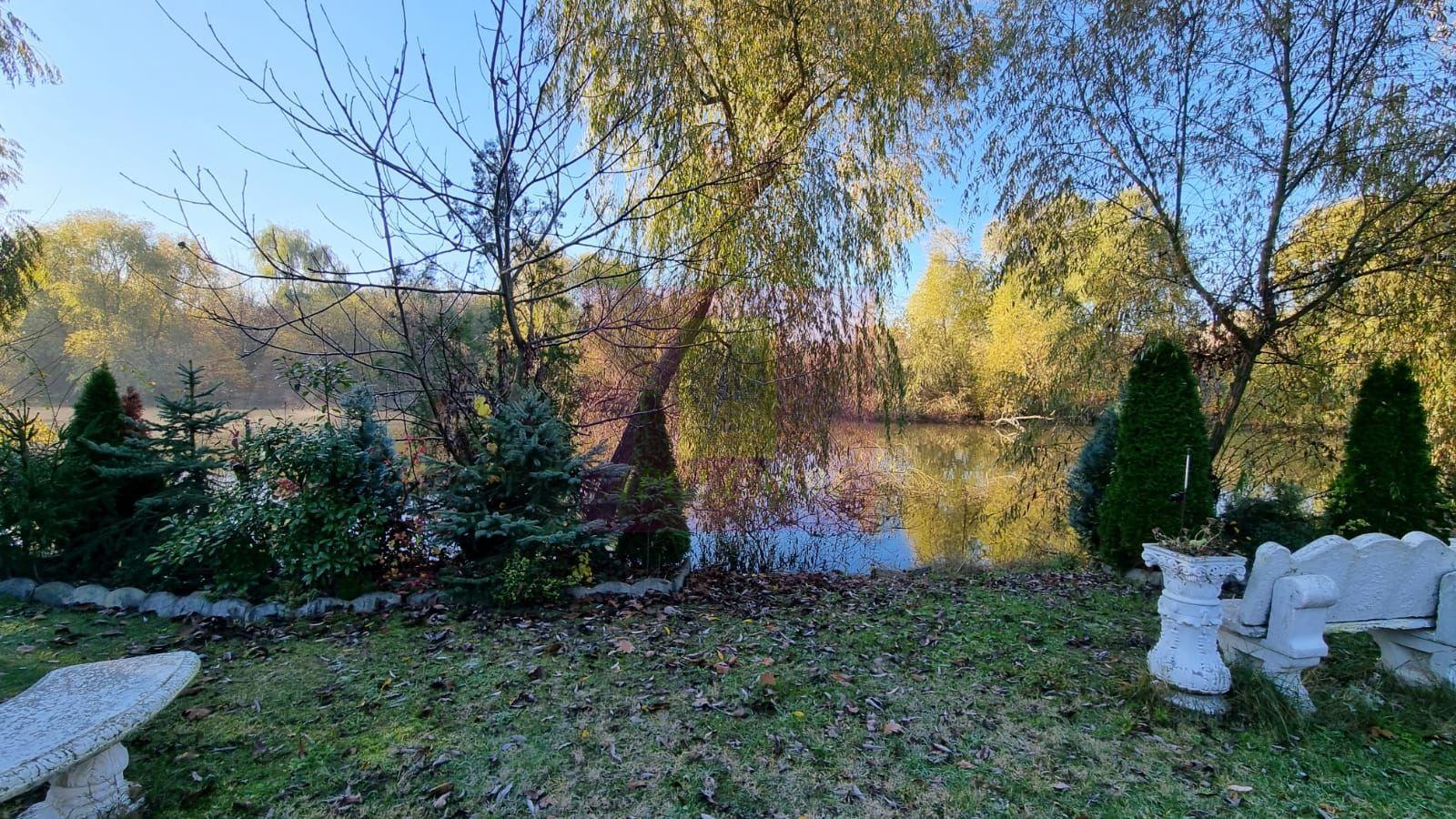 Cea mai frumoasă casă din zona Pipera - Băneasa - 59