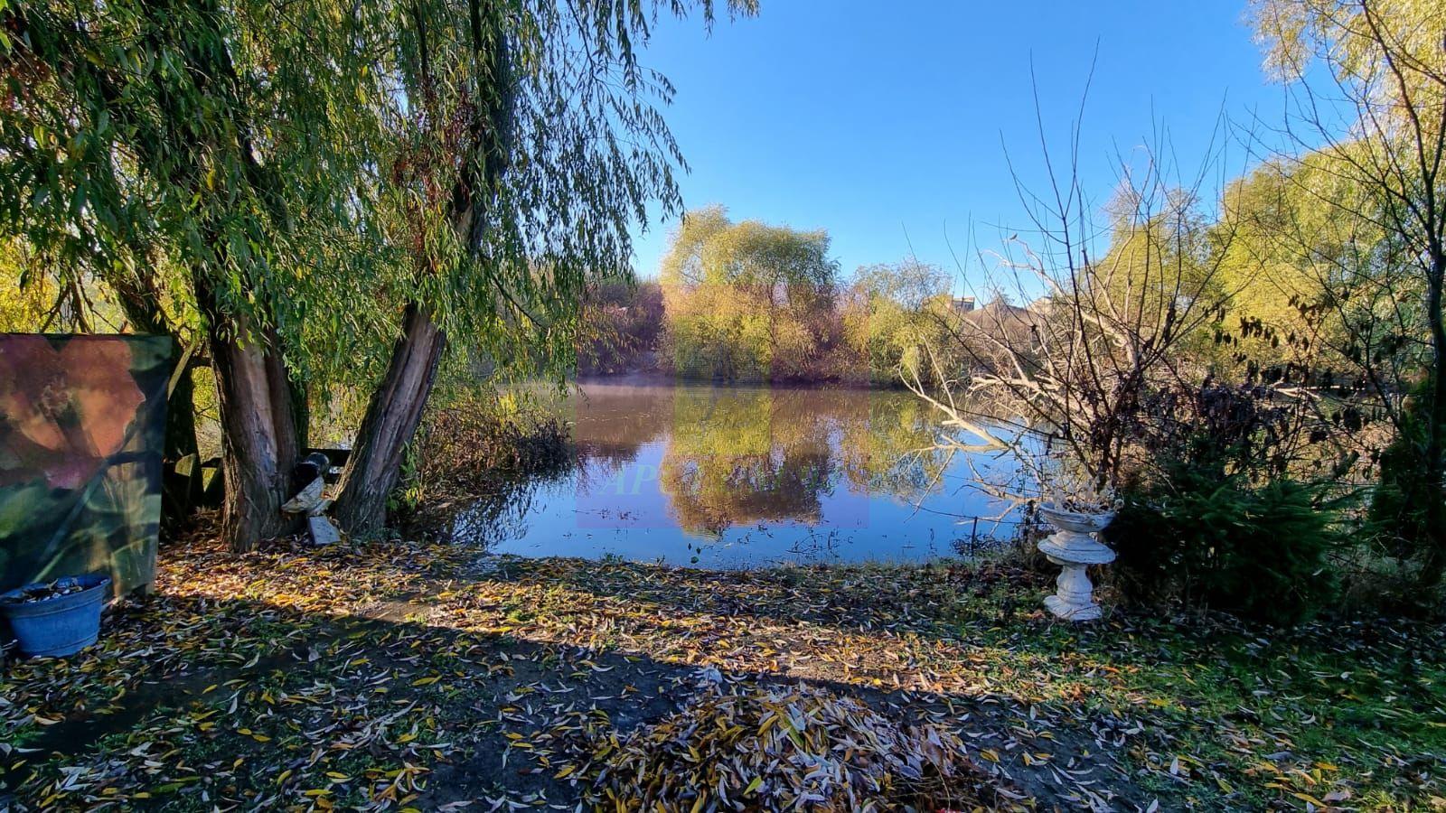Cea mai frumoasă casă din zona Pipera - Băneasa - 33