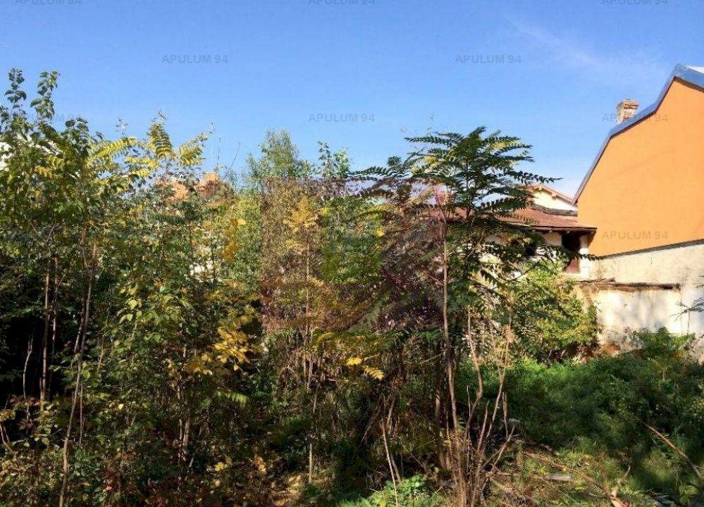 Teren zona Mosilor-Stefan Cel Mare - 2
