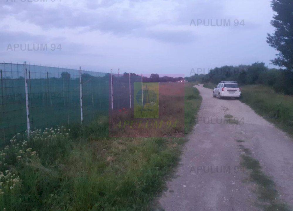 Teren aproape de Bucuresti langa padure - 15