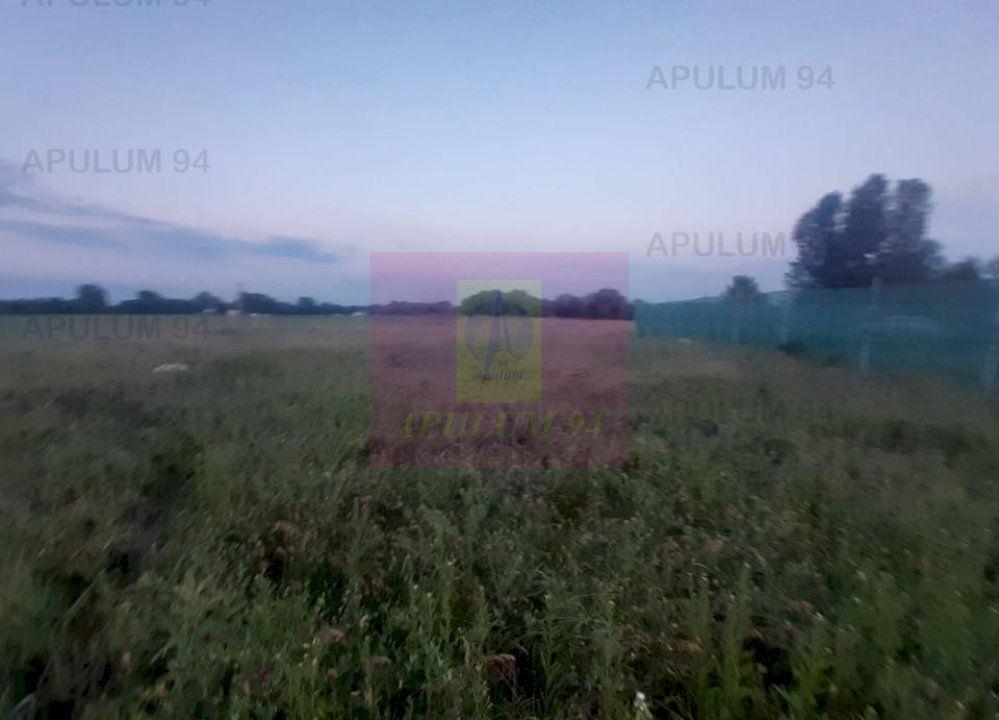 Teren aproape de Bucuresti langa padure - 19
