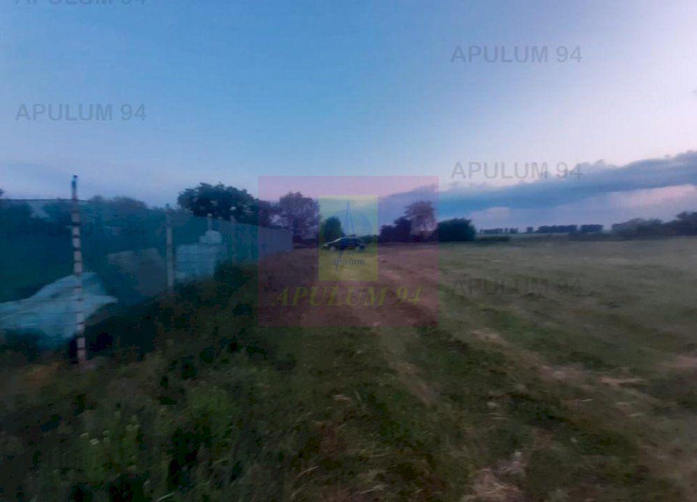 Teren aproape de Bucuresti langa padure - 13