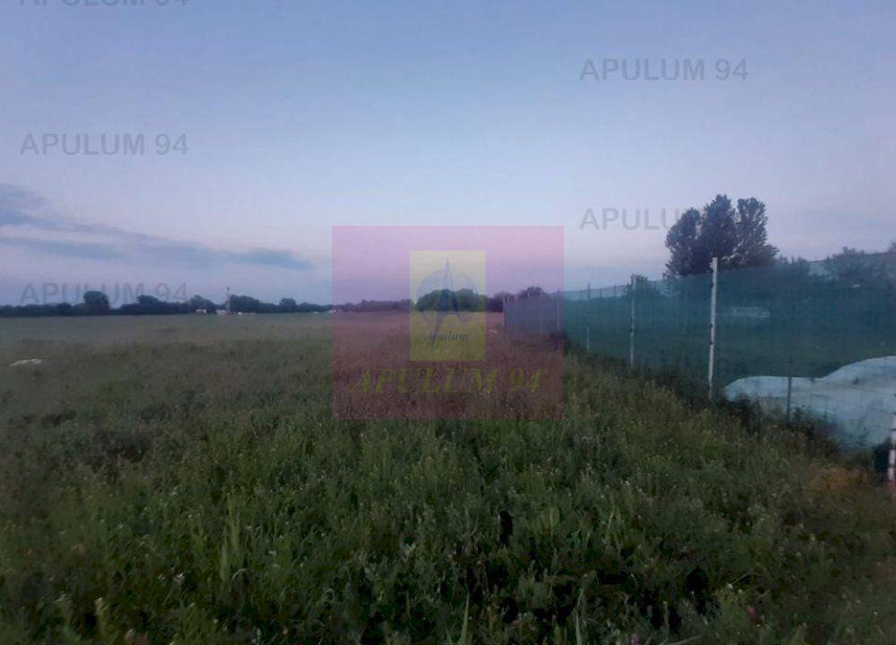 Teren aproape de Bucuresti langa padure - 12