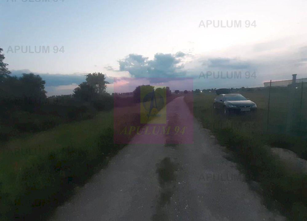 Teren aproape de Bucuresti langa padure - 14