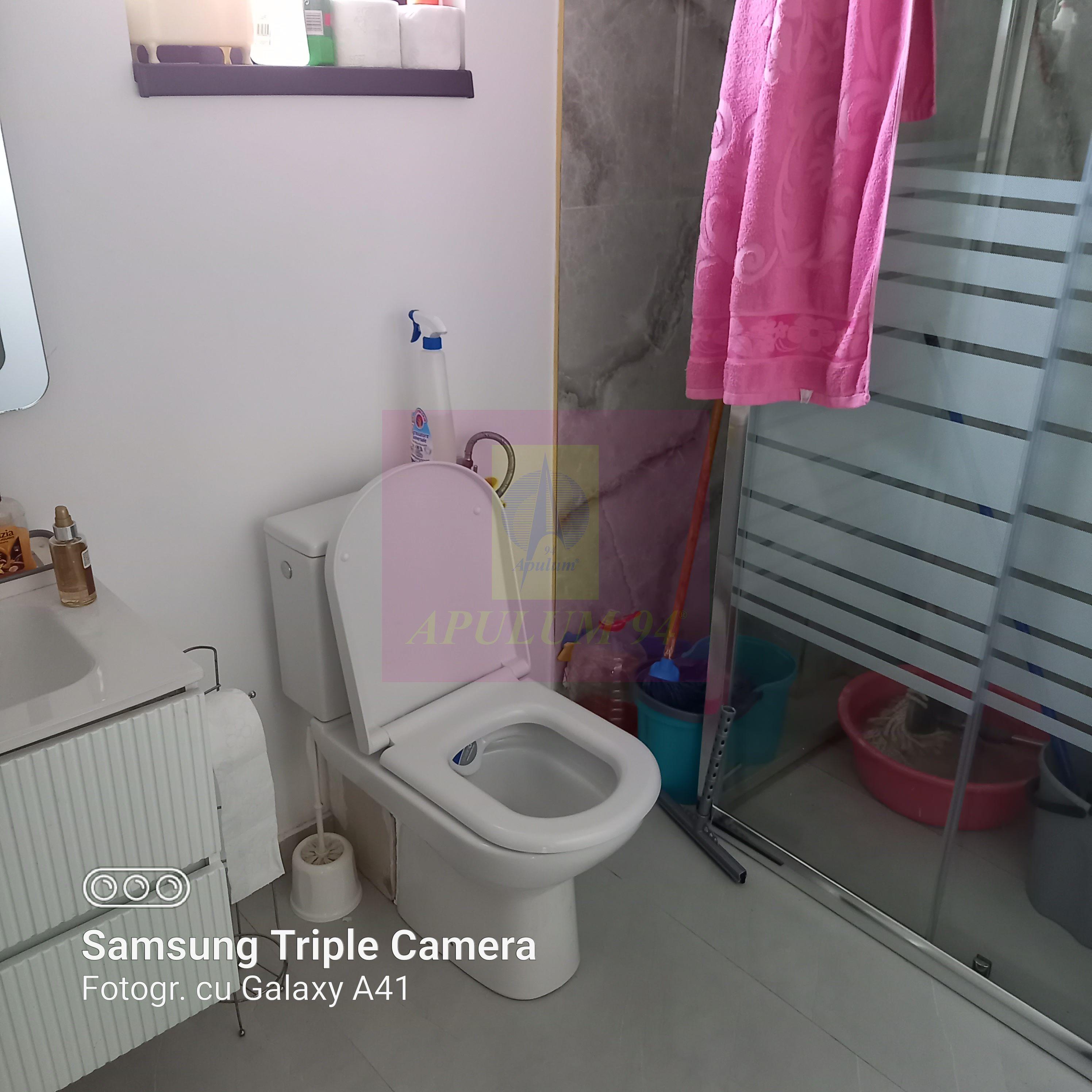 Vila P+1+pod- Fundeni- Dobroesti - 13