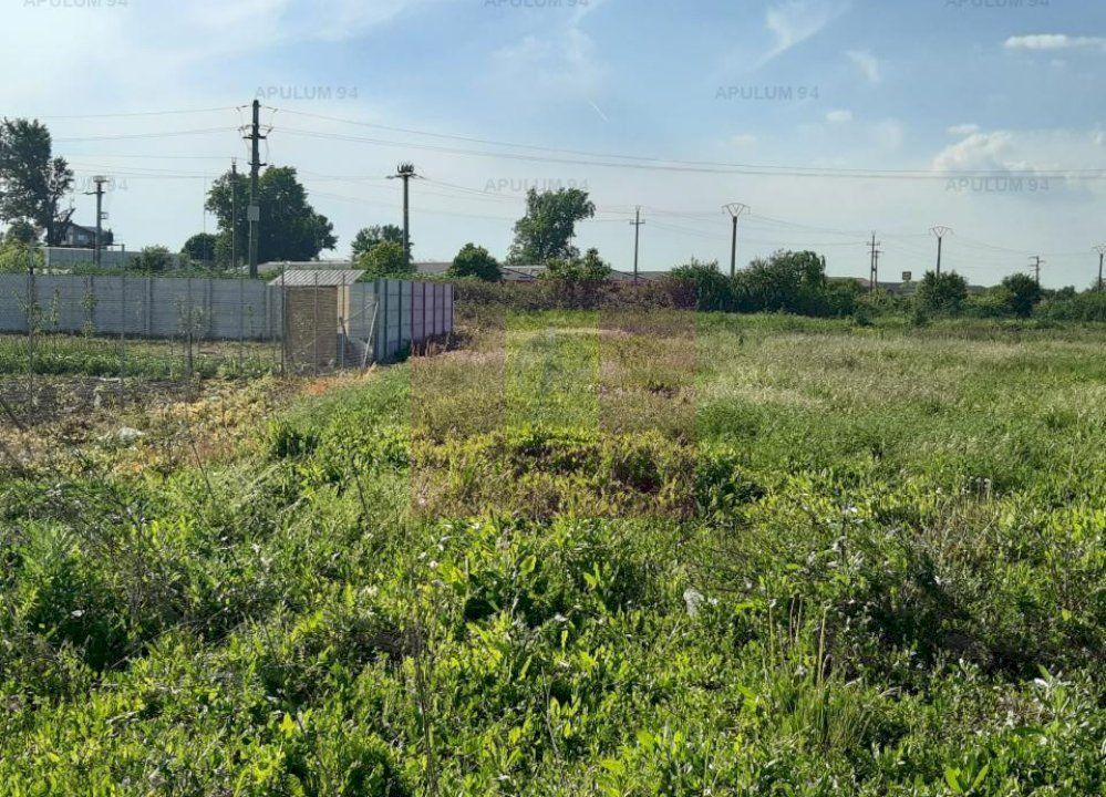 Teren construcție casă - 1 Decembrie - Zona Metropolitană București - 21