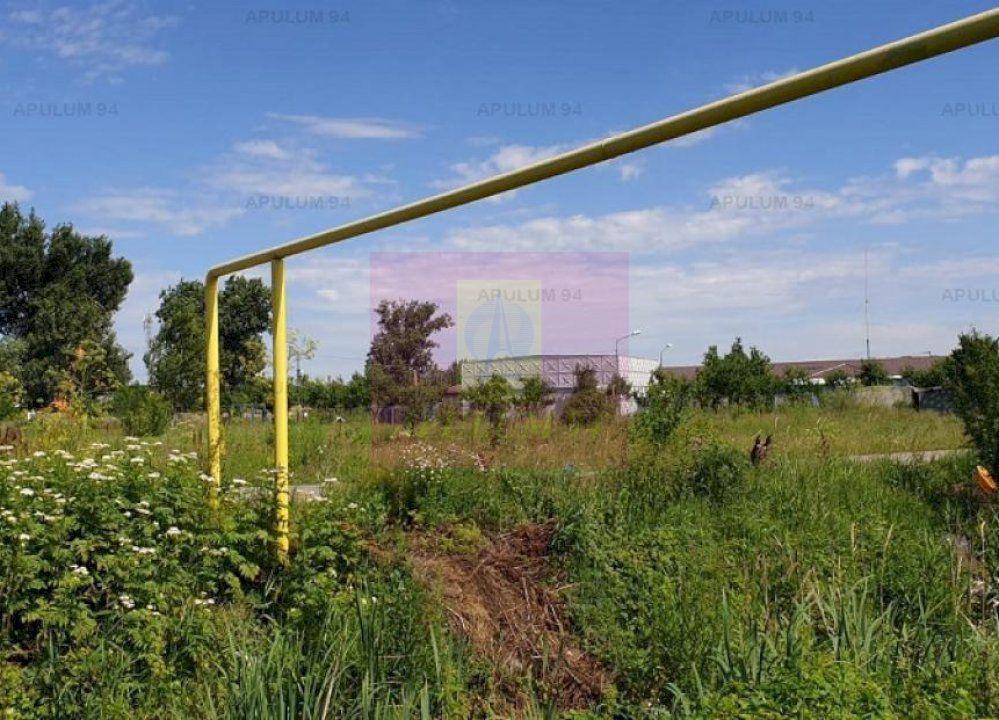 Teren construcție casă - 1 Decembrie - Zona Metropolitană București - 50