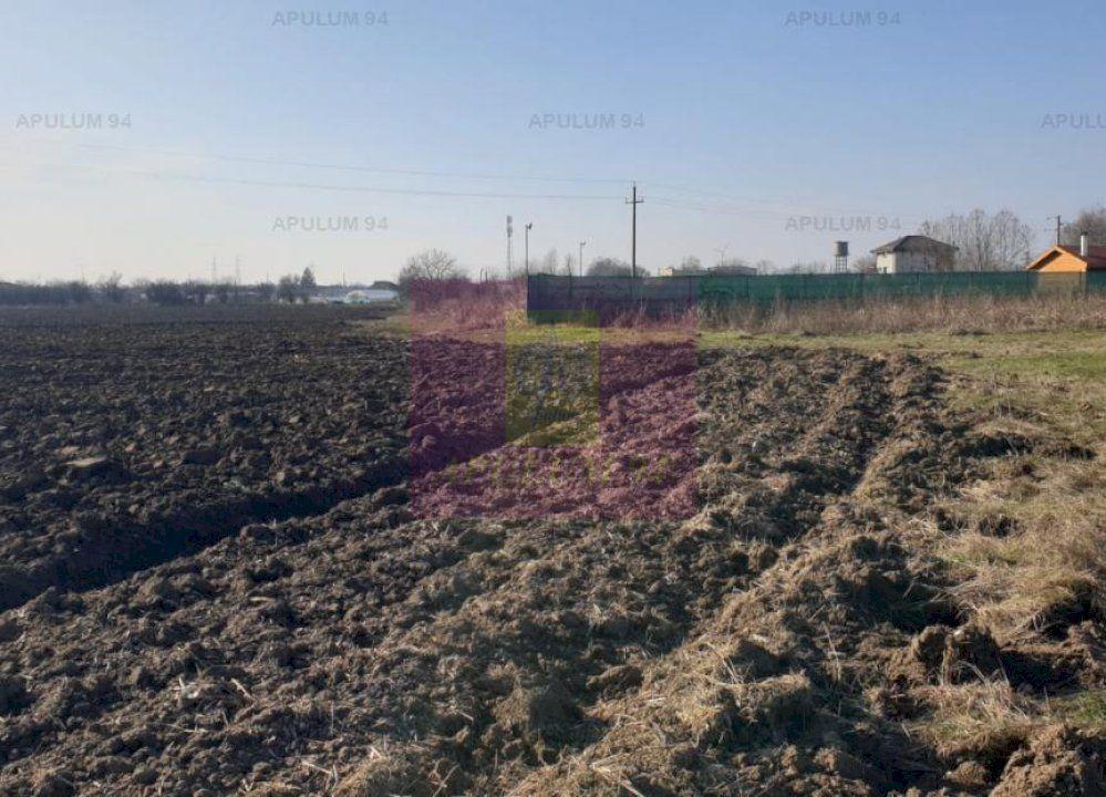 Teren construcție casă - 1 Decembrie - Zona Metropolitană București - 49