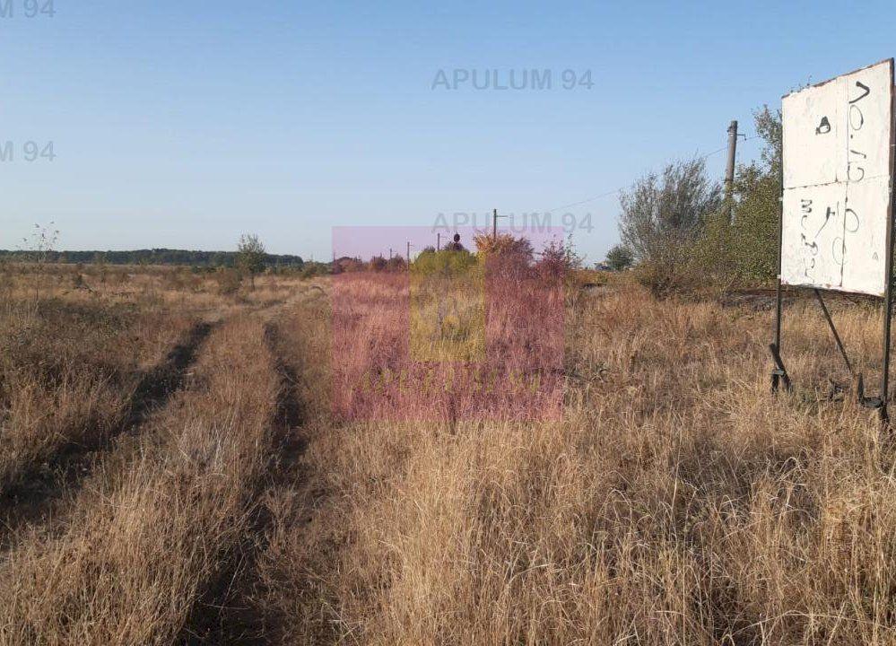 Teren bun mare și ieftin - 49