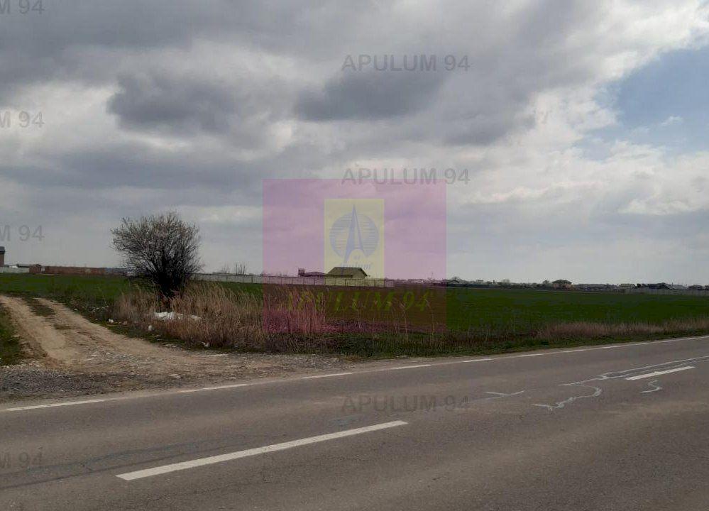 Teren Intravilan cu front stradal la un Drum Principal langa București - 37