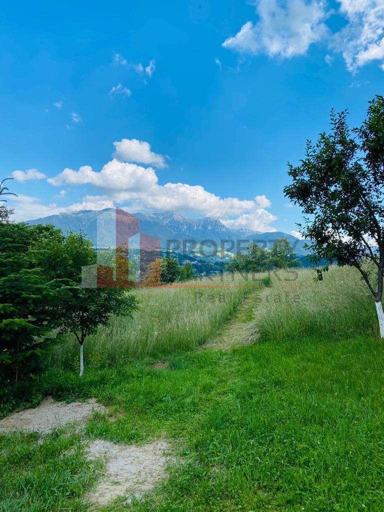 Vilă 340 mp Bran | Teren 5500 mp | 6 dormitoare cu băi proprii - 26