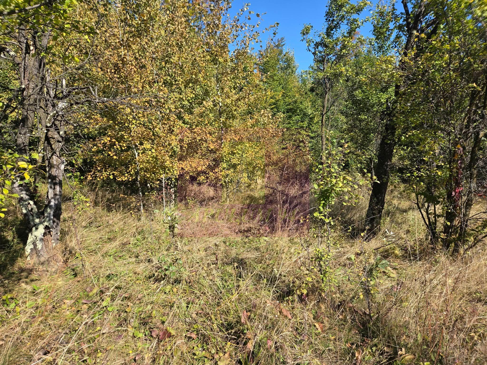 Teren extravilan de 10.452 mp de vanzare in Lunca Mare - 11