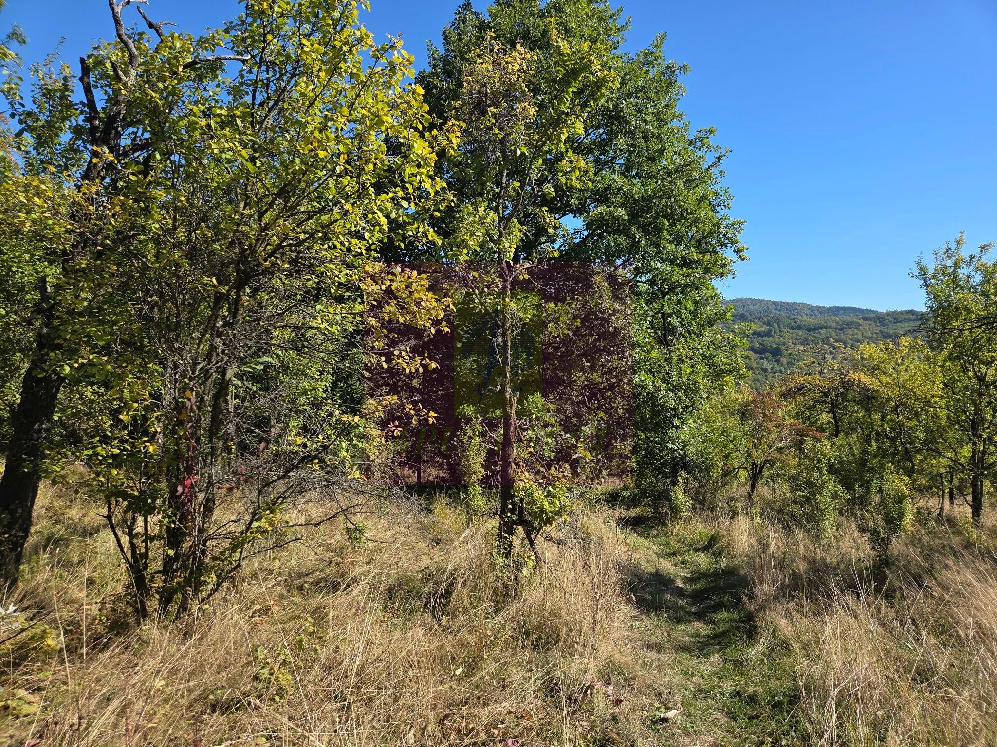 Teren extravilan de 10.452 mp de vanzare in Lunca Mare - 12