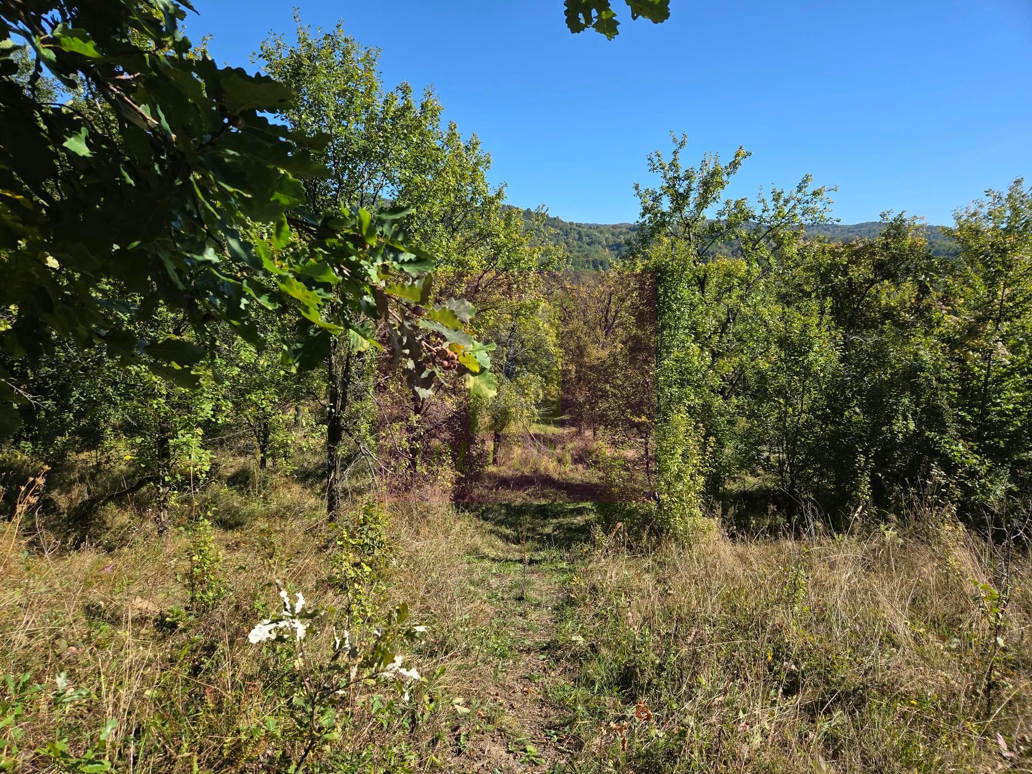 Teren extravilan de 10.452 mp de vanzare in Lunca Mare - 2