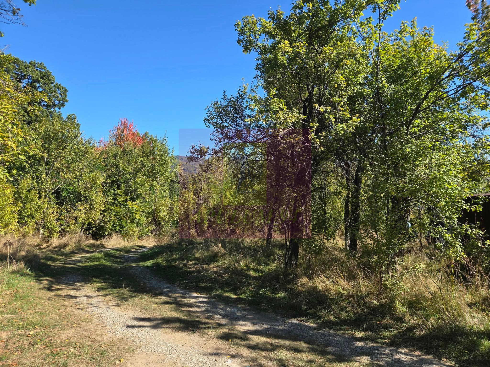 Teren extravilan de 10.452 mp de vanzare in Lunca Mare - 4