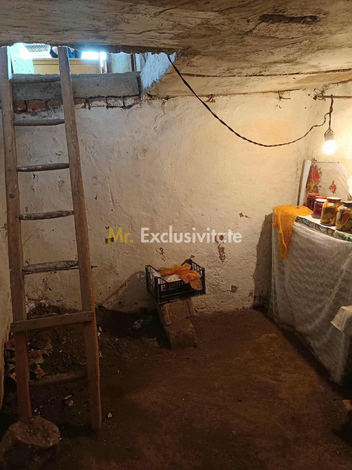 Casă tradițională cu teren de 4.400 mp în Vașad - 20