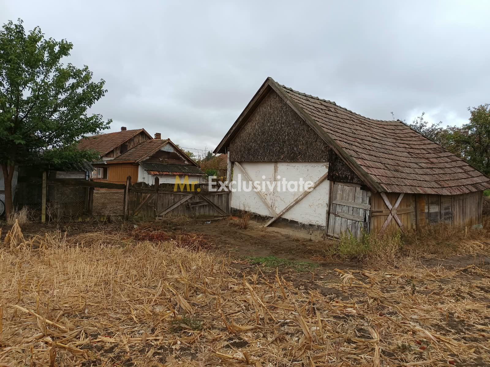 Casă tradițională cu teren de 4.400 mp în Vașad - 19