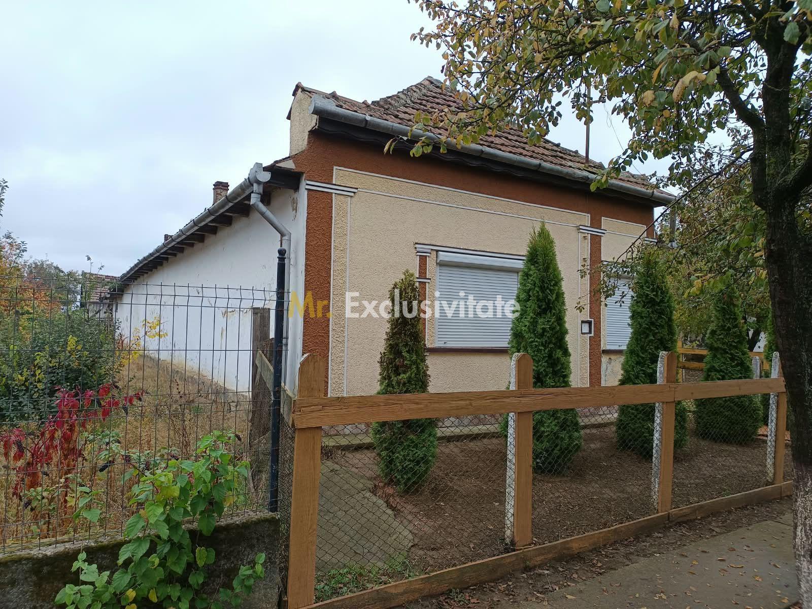 Casă tradițională cu teren de 4.400 mp în Vașad - 4