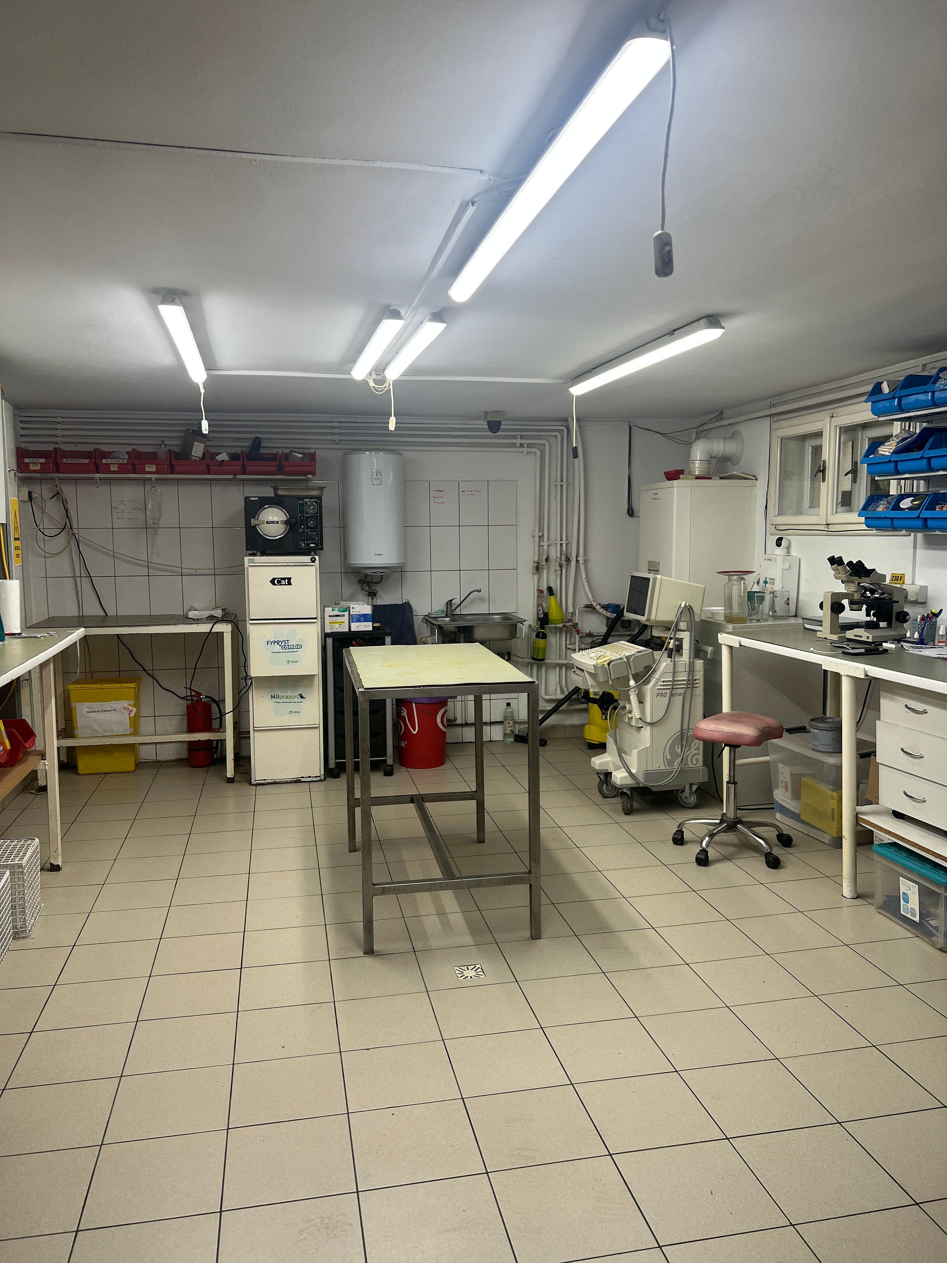 Imobil multifuncțional, 450 mp utili, teren 640 mp, Torontalului - 4