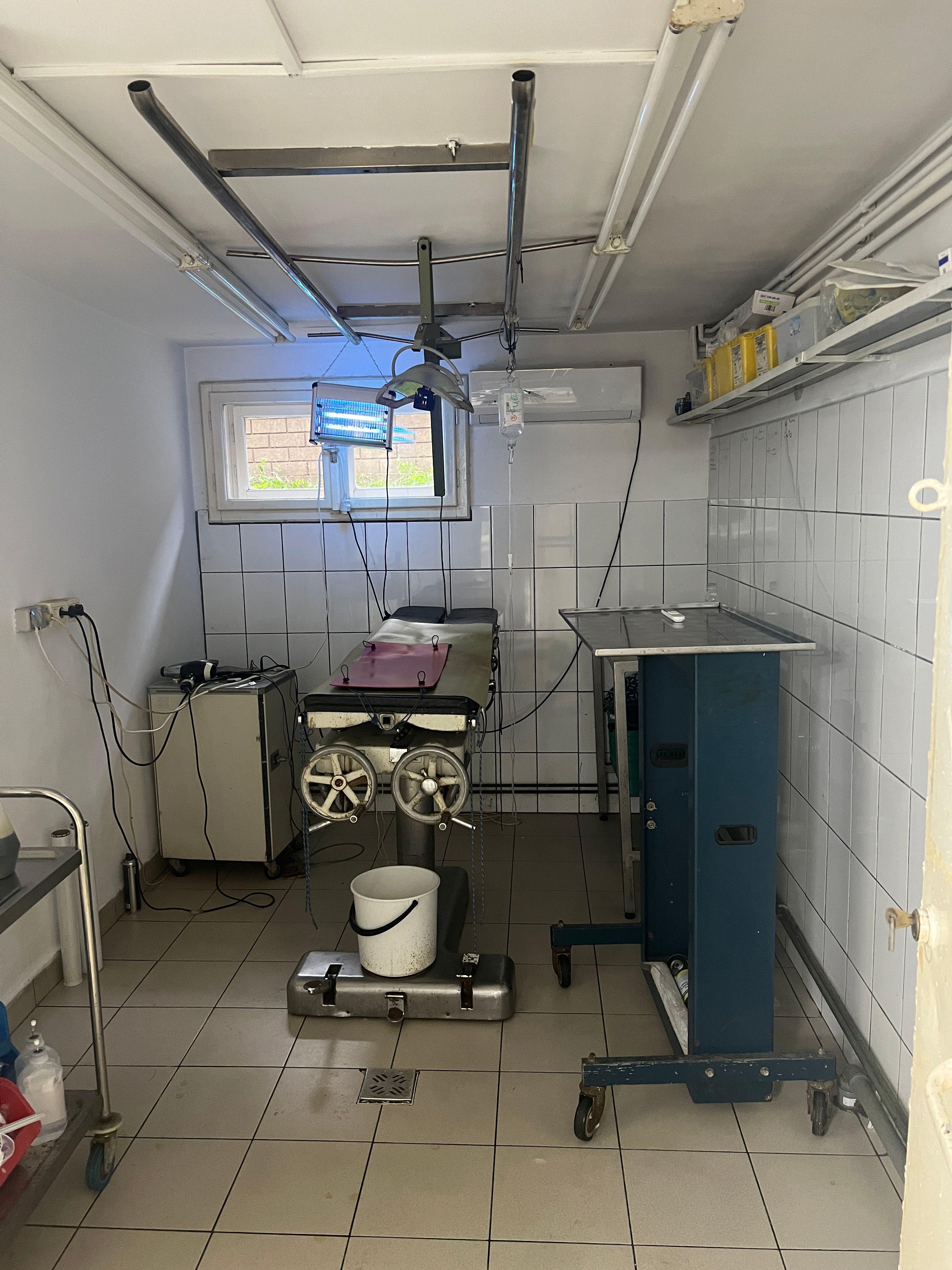 Imobil multifuncțional, 450 mp utili, teren 640 mp, Torontalului - 5