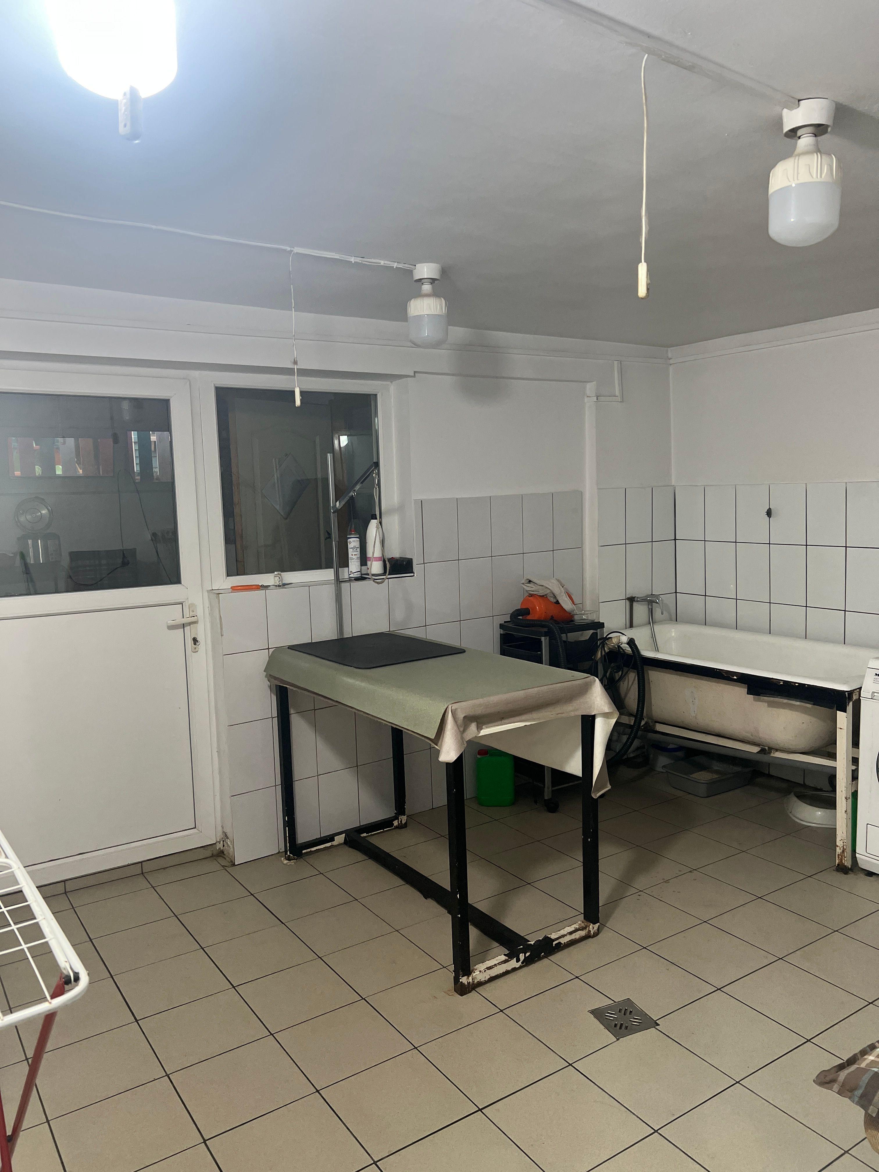 Imobil multifuncțional, 450 mp utili, teren 640 mp, Torontalului - 3