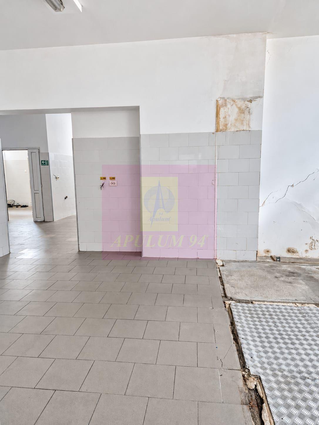 Spațiu comercial de închiriat în Floreasca | 145 mp utili, terasă - 6