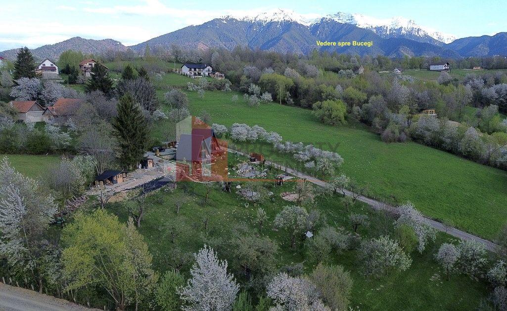 2 A-Frame | Bran Sohodol| 2 cabane | Teren 3.812 mp | Operațional | - 15