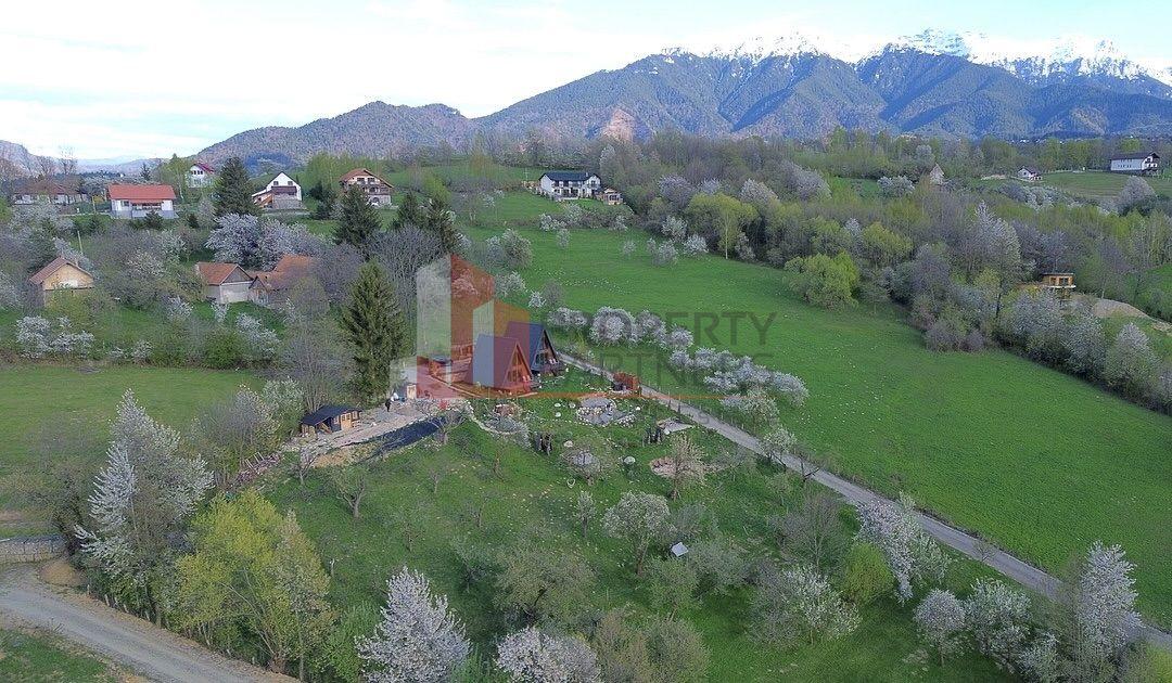 2 A-Frame | Bran Sohodol| 2 cabane | Teren 3.812 mp | Operațional | - 19